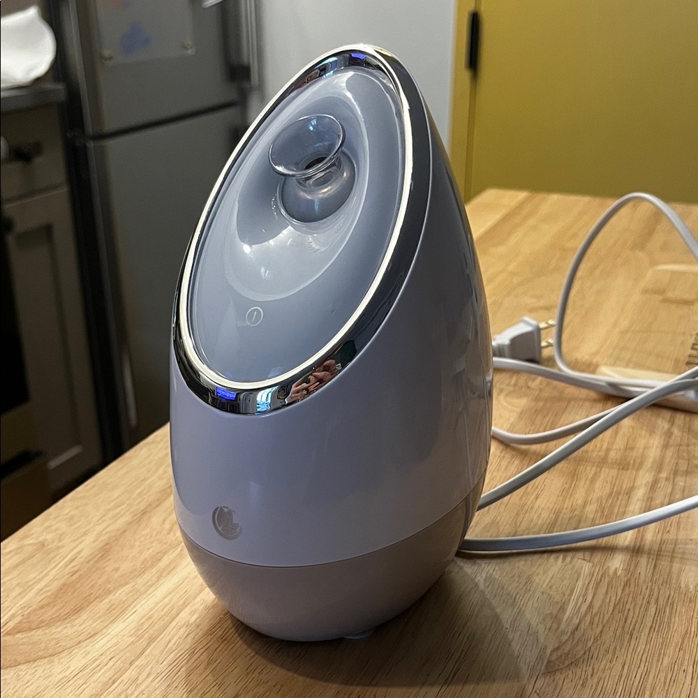 White Facial Steamer